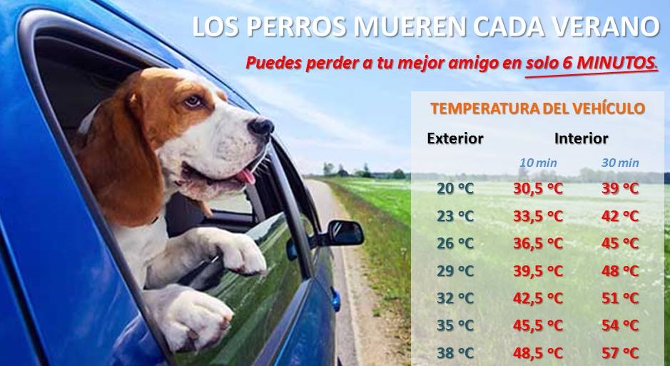 Golpe de calor en perros