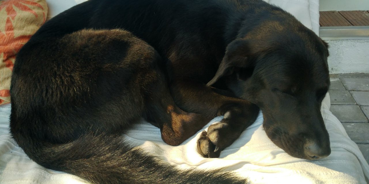 La importancia del descanso