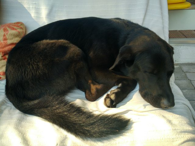 La importancia del descanso