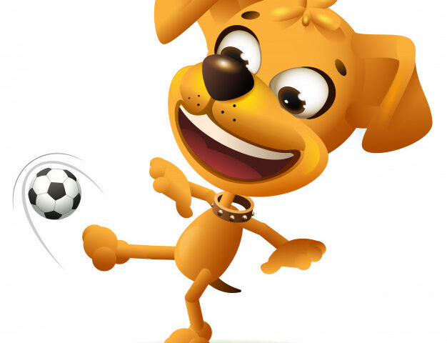 ¡Vamos al partido!