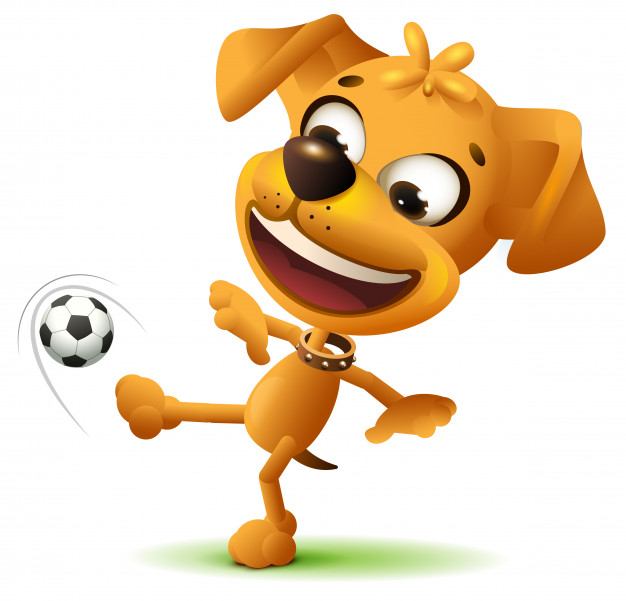 ¡Vamos al partido!
